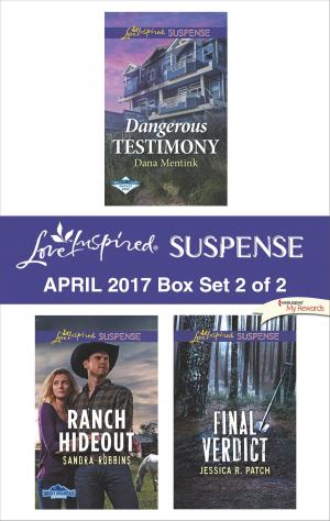 Cover of the book Harlequin Love Inspired Suspense April 2017 - Box Set 2 of 2 by Cindy Kirk, Rachel Lee, Caro Carson