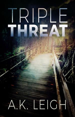 Cover of the book Triple Threat by Mary Brock Jones