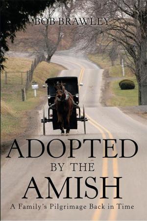 bigCover of the book Adopted by the Amish by 