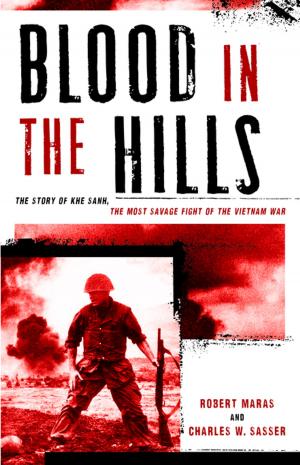Cover of the book Blood in the Hills by Robert Nersasian, Randall Peffer