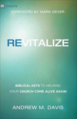 Cover of the book Revitalize by Judith E. Lingenfelter, Sherwood G. Lingenfelter