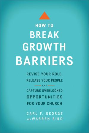 Book cover of How to Break Growth Barriers