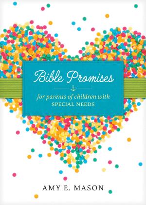 Book cover of Bible Promises for Parents of Children with Special Needs