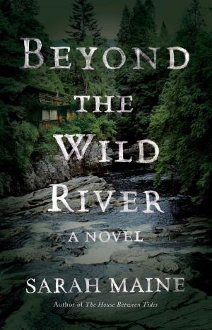 Cover of the book Beyond the Wild River by Joyce Carol Oates