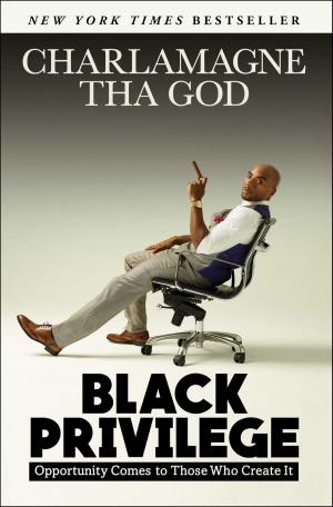 Cover of the book Black Privilege by Rob DeStefano, Joseph Hooper