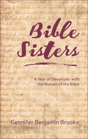 Cover of the book Bible Sisters by Lucinda Secrest McDowell