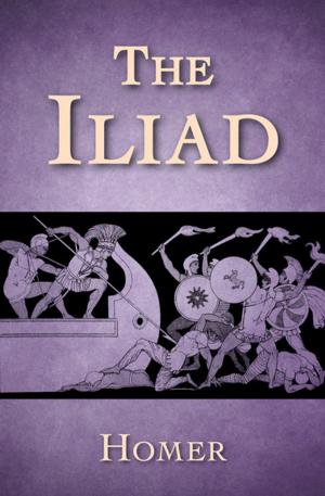 Cover of the book The Iliad by Lawrence Sanders, Vincent Lardo