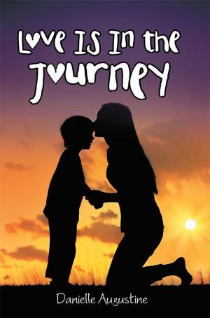 Cover of the book Love Is in the Journey by Leilani Faber
