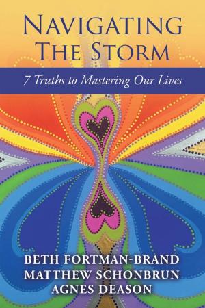 Cover of the book Navigating the Storm by 上官弧
