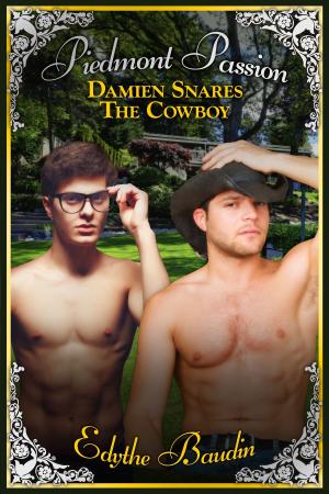 Cover of the book Damien Snares The Cowboy by Candace Blevins