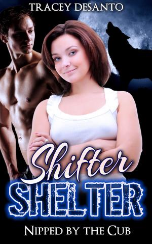 Cover of the book Shifter Shelter: Nipped by the Cub by J.L. Dillard