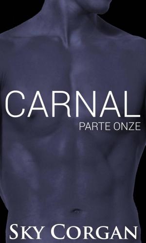 Cover of the book Carnal: Parte Onze by Danilo Henrique Gomes