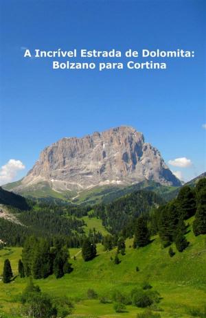 Book cover of A Incrível Estrada De Dolomita: Bolzano Para Cortina