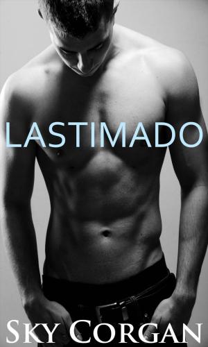 Cover of the book Lastimado by Ana Rubio-Serrano
