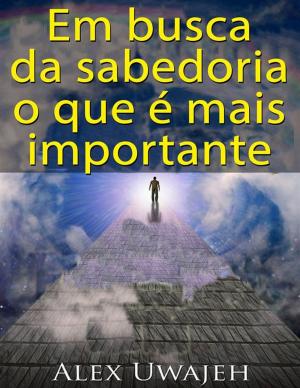 Cover of the book Em Busca Da Sabedoria: O Que É Mais Importante by Renata Di Nizo