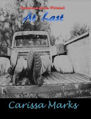 Book cover of At Last