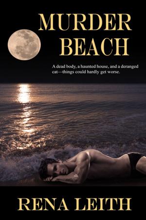 Cover of the book Murder Beach by Brenda Whiteside
