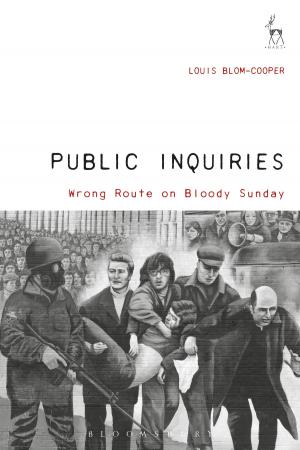 Cover of the book Public Inquiries by Richard van Emden