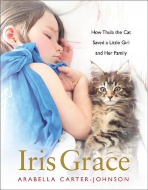 Cover of the book Iris Grace by Carol Ann Rinzler