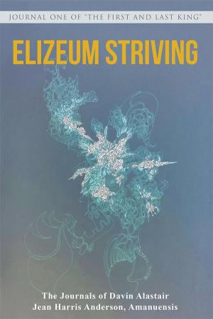 Book cover of Elizeum Striving