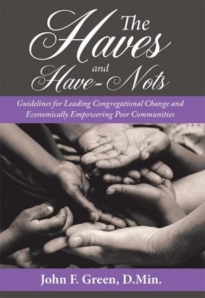 Cover of the book The Haves and Have-Nots by Lydia Finch Johnston