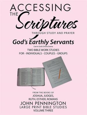 Book cover of Accessing the Scriptures
