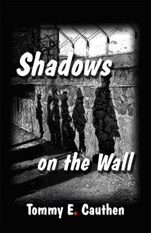 Cover of the book Shadows on the Wall by April Riley Bolejack