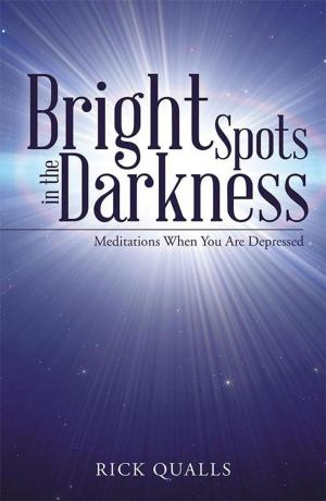 Cover of the book Bright Spots in the Darkness by Steven Smith