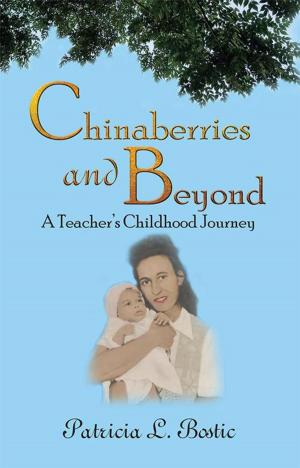 Cover of the book Chinaberries and Beyond by Brad Garrett