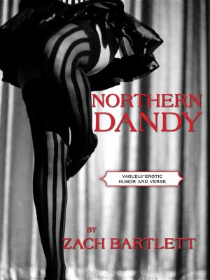 bigCover of the book Northern Dandy by 