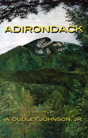 Cover of the book Adirondack by Honore de Balzac
