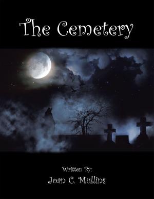 Cover of the book The Cemetery by Anthony J. Enciso