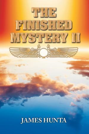 Cover of the book The Finished Mystery Ii by Wayne Talbot