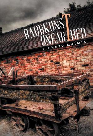 Cover of the book Raubkunst Unearthed by Dawn Todd M.S.
