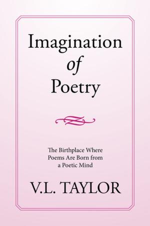 Cover of the book Imagination of Poetry by Elizabeth O'Mara Anderson