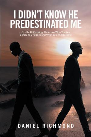 Cover of the book I Didn’T Know He Predestinated Me by Célou Bonnet