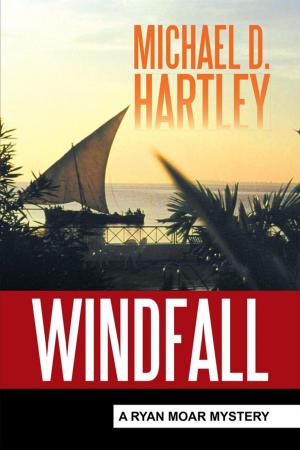 Cover of the book Windfall by Ruth Young