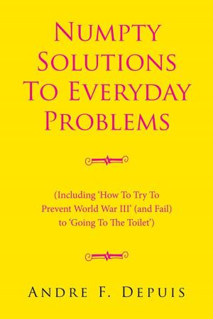 Cover of the book Numpty Solutions to Everyday Problems by Victor Okechukwu Anyaegbuna