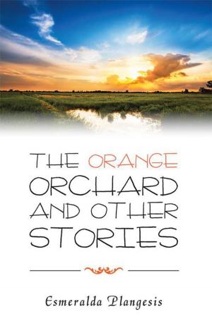 Cover of the book The Orange Orchard and Other Stories by Tessa Rey