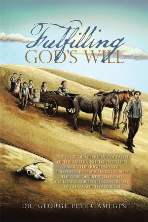 Cover of the book Fulfilling God’S Will by D.R. VerValin