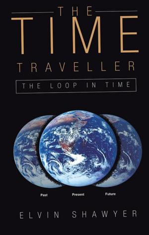bigCover of the book The Time Traveller by 
