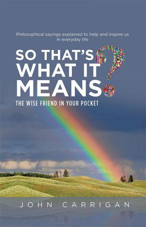 Cover of the book So That’S What It Means? by Robert Linn