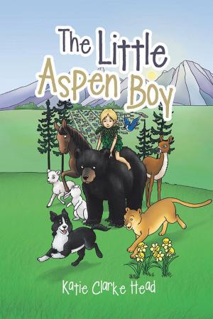 Cover of the book The Little Aspen Boy by Harvey C. Jones