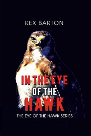 Cover of the book In the Eye of the Hawk by Daniel Kornstein