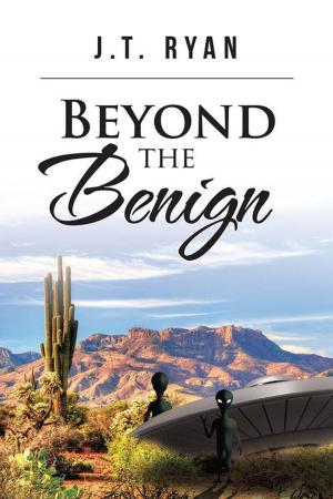 Cover of the book Beyond the Benign by Hawwah Nofeeyah