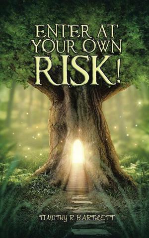 Cover of the book Enter at Your Own Risk! by Andrew Daws