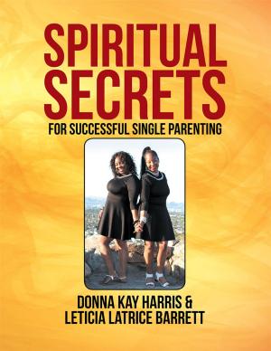 Cover of the book Spiritual Secrets for Successful Single Parenting by Santoshan (Stephen Wollaston)