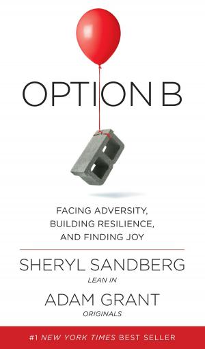 Cover of the book Option B by Anne M Angell