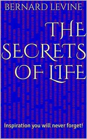 Cover of the book The Secrets of Life: Inspiration You Will Never Forget! by Sara Elliott Price
