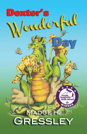 Book cover of Dexter's Wonderful Day